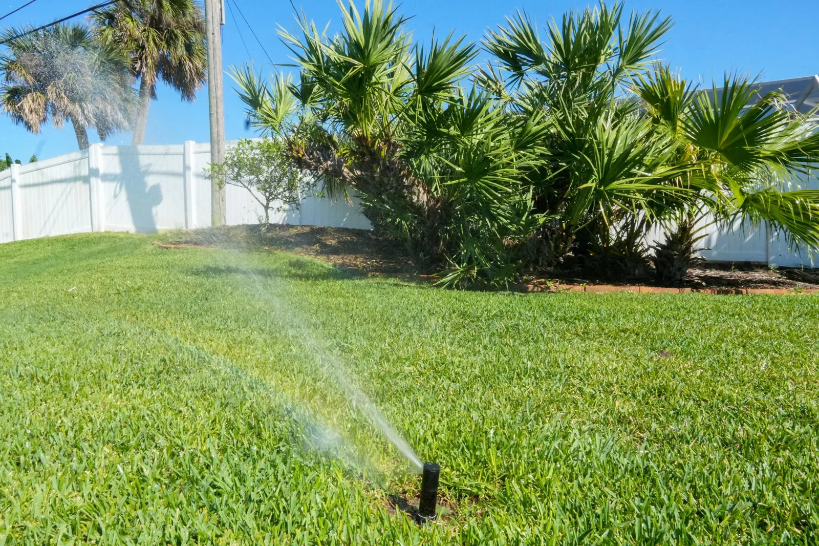 Residential irrigation running on a healthy Northeast Florida lawn with palms and blue sky