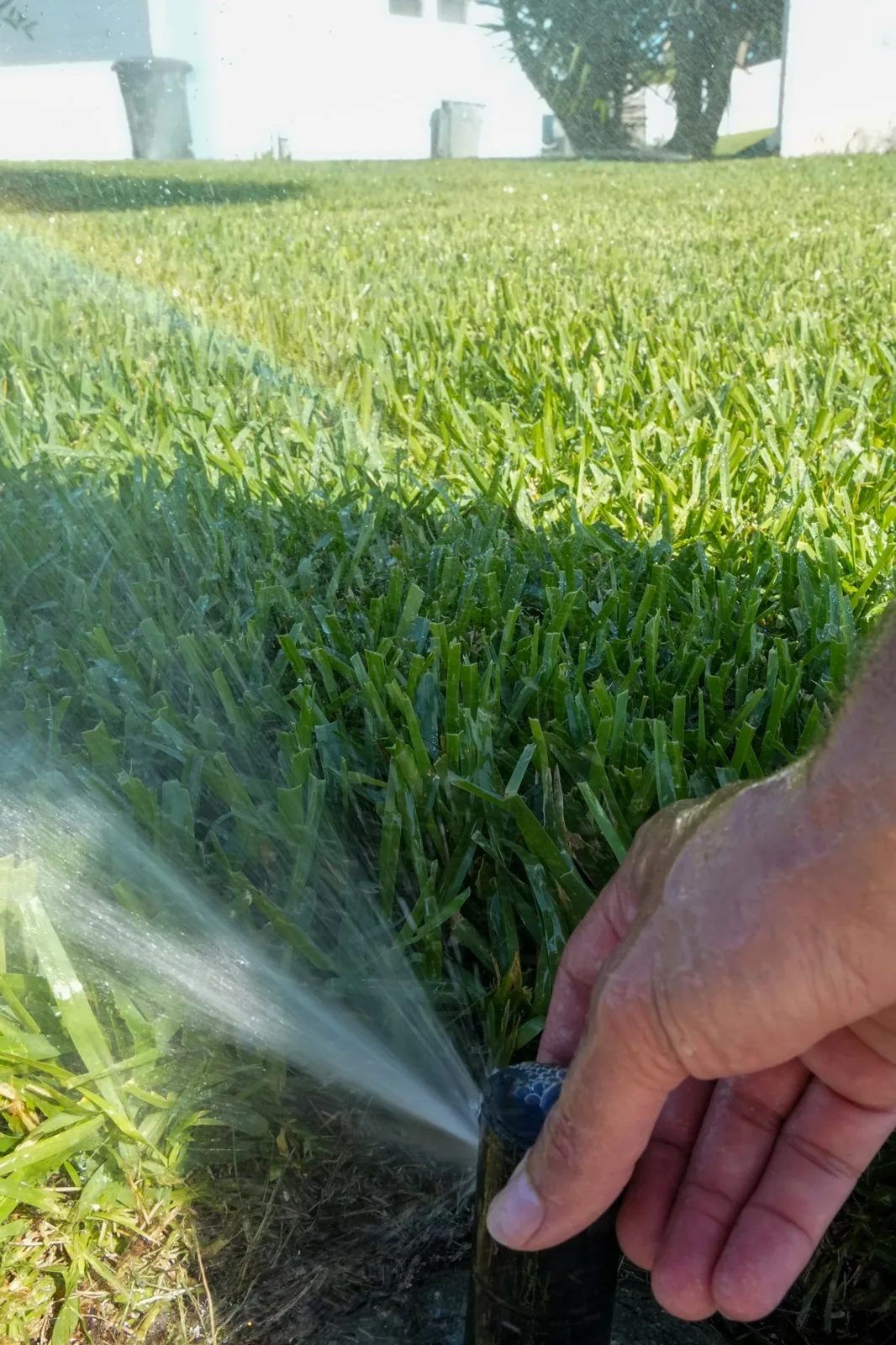 WaterCare technician adjusting a sprinkler head by hand while the zone sprays across thick green turf